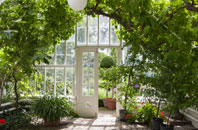 free Coton In The Elms orangery quotes